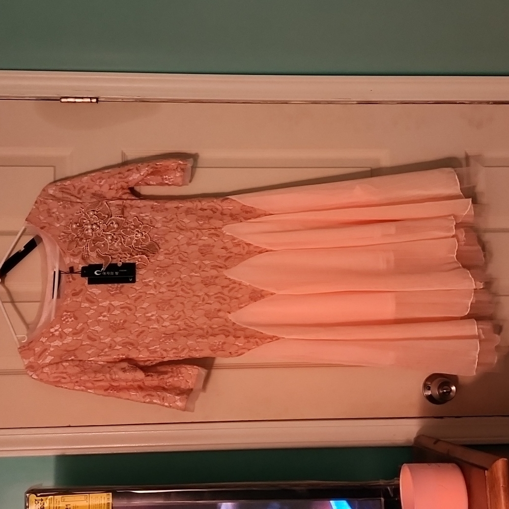 LACE DRESS BEADED W/ PEARLS CUTOUT LACE LINED BRAND NEW WITH TAGS PEACHY/PINK